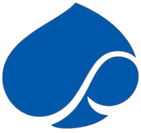 Capgemini logo